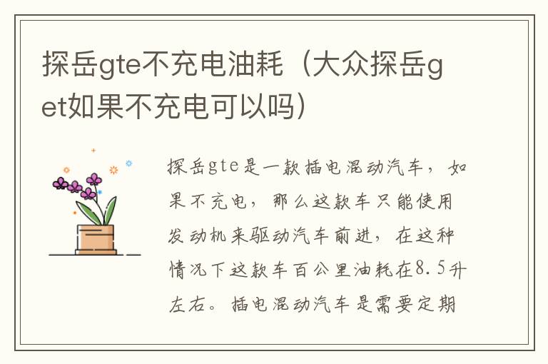探岳gte不充电油耗（大众探岳get如果不充电可以吗）