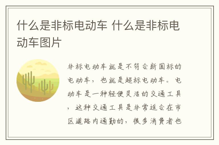 什么是非标电动车 什么是非标电动车图片