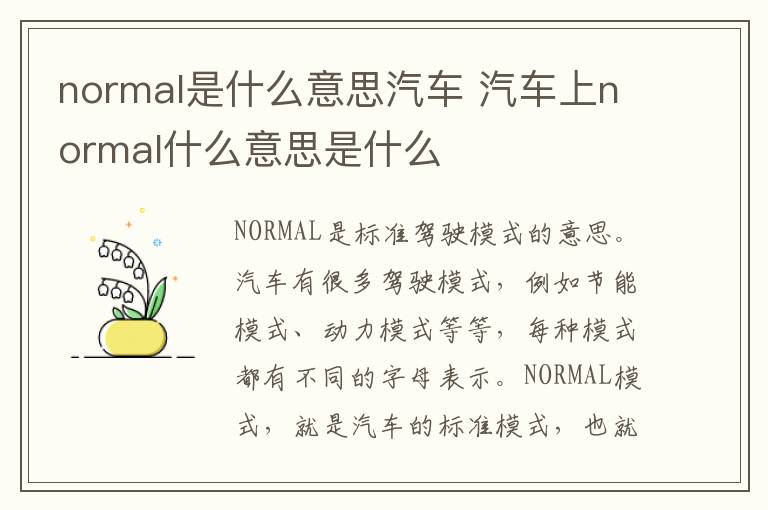 normal是什么意思汽车 汽车上normal什么意思是什么