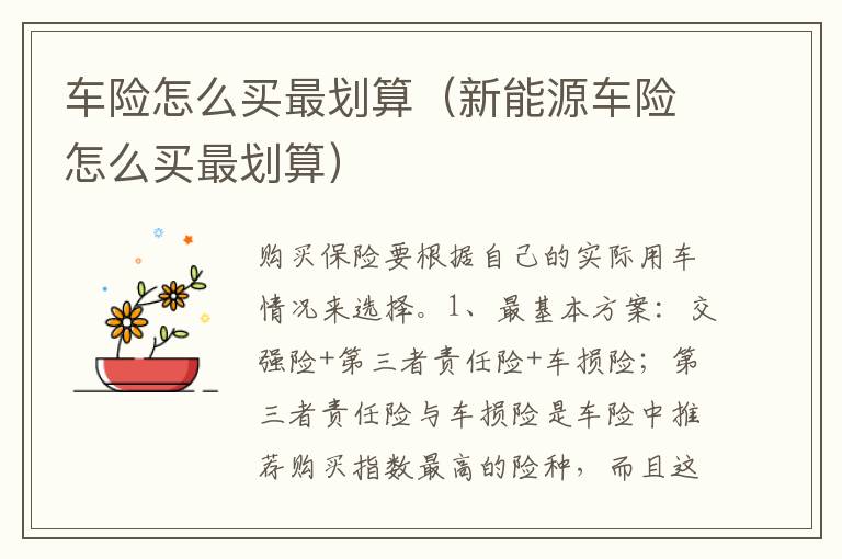 车险怎么买最划算（新能源车险怎么买最划算）