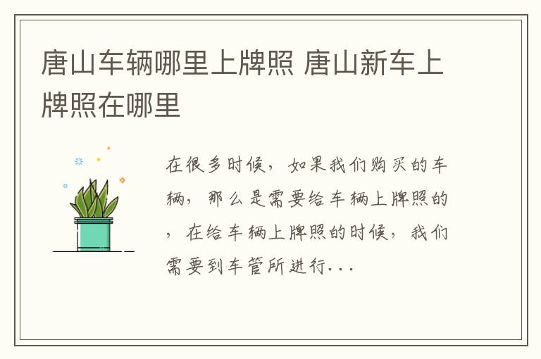 唐山车辆哪里上牌照 唐山新车上牌照在哪里