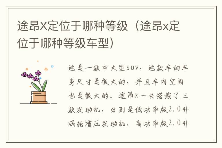 途昂X定位于哪种等级（途昂x定位于哪种等级车型）
