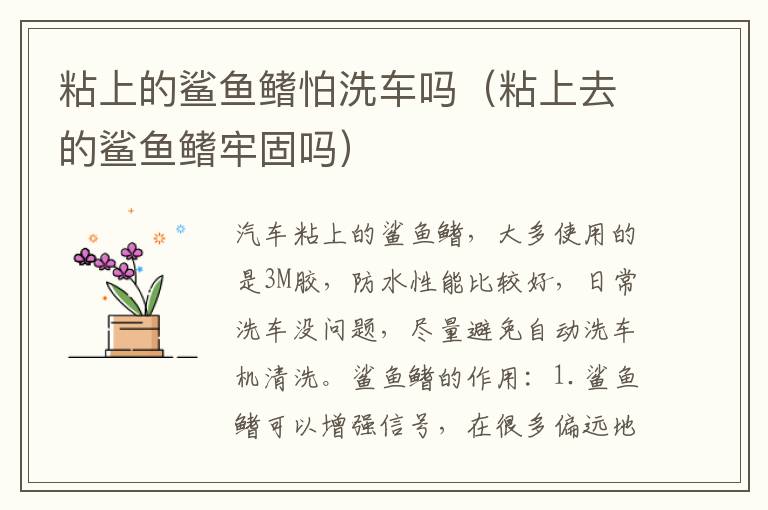 粘上的鲨鱼鳍怕洗车吗（粘上去的鲨鱼鳍牢固吗）
