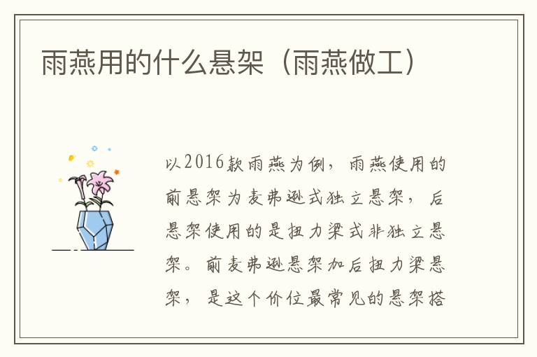 雨燕用的什么悬架（雨燕做工）