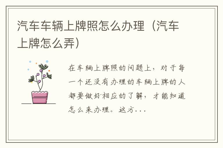 汽车车辆上牌照怎么办理(汽车上牌怎么弄)