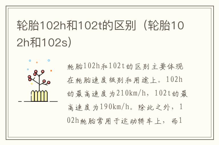 轮胎102h和102t的区别（轮胎102h和102s）