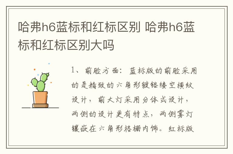 哈弗h6蓝标和红标区别 哈弗h6蓝标和红标区别大吗