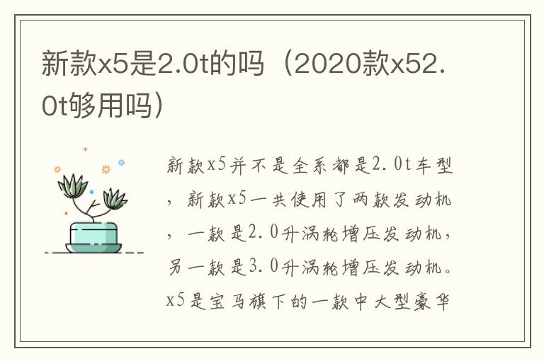 新款x5是2.0t的吗（2020款x52.0t够用吗）