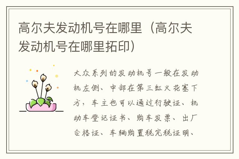 高尔夫发动机号在哪里（高尔夫发动机号在哪里拓印）