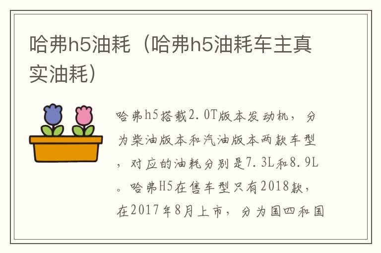 哈弗h5油耗（哈弗h5油耗车主真实油耗）