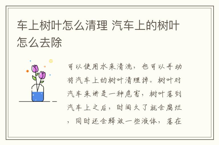 车上树叶怎么清理 汽车上的树叶怎么去除