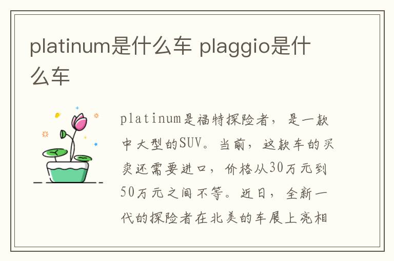 platinum是什么车 plaggio是什么车