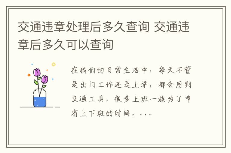 交通违章处理后多久查询 交通违章后多久可以查询