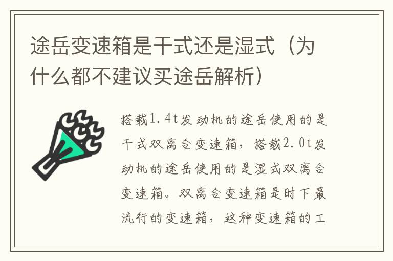 途岳变速箱是干式还是湿式（为什么都不建议买途岳解析）