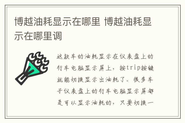 博越油耗显示在哪里 博越油耗显示在哪里调