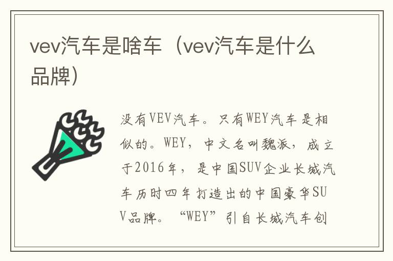 vev汽车是啥车（vev汽车是什么品牌）