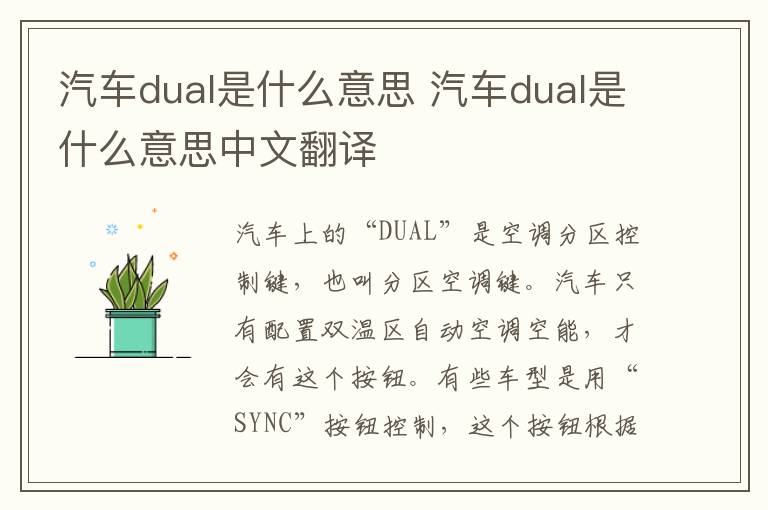 汽车dual是什么意思 汽车dual是什么意思中文翻译