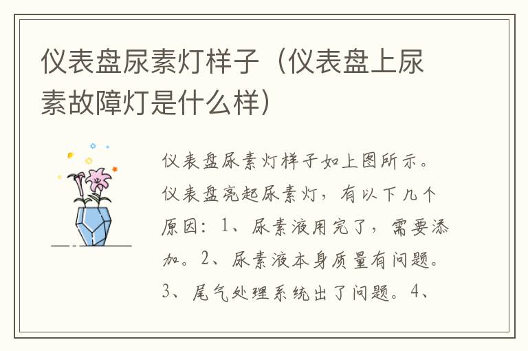 仪表盘尿素灯样子（仪表盘上尿素故障灯是什么样）