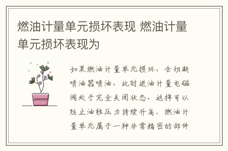 燃油计量单元损坏表现 燃油计量单元损坏表现为