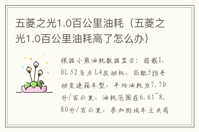 五菱之光1.0百公里油耗（五菱之光1.0百公里油耗高了怎么办）