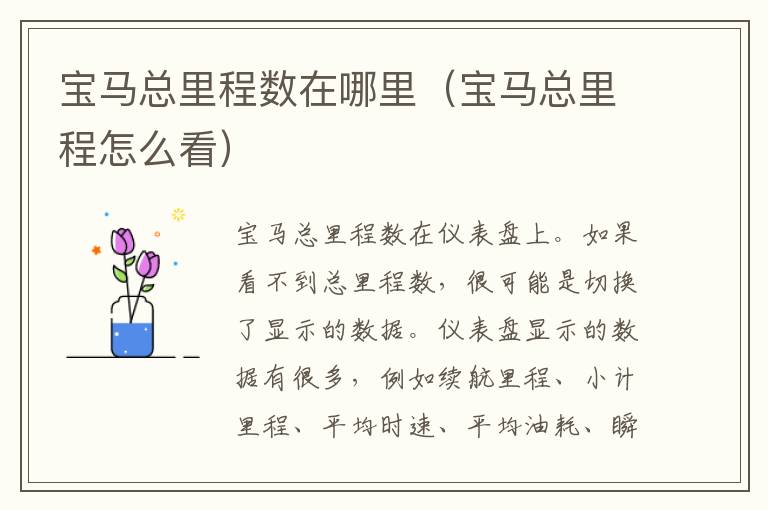 宝马总里程数在哪里（宝马总里程怎么看）
