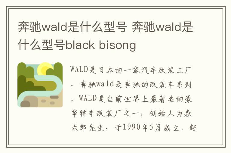 奔驰wald是什么型号 奔驰wald是什么型号black bisong