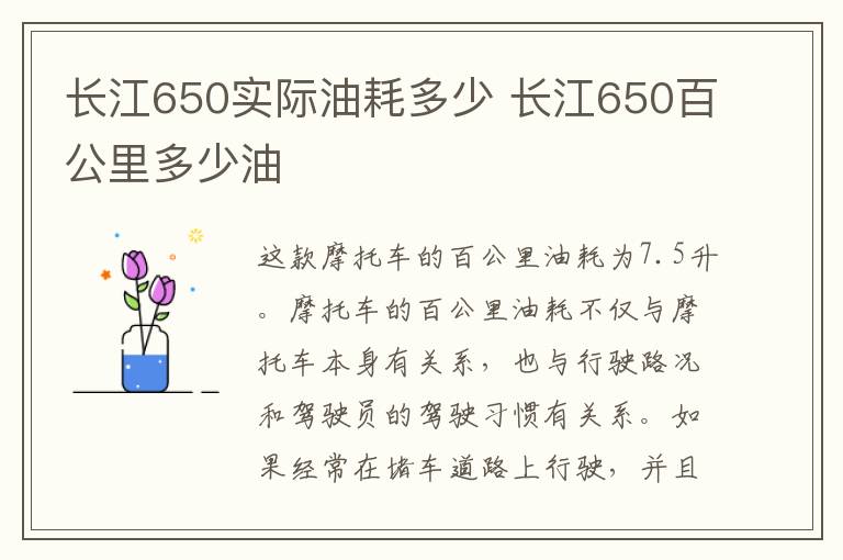 长江650实际油耗多少 长江650百公里多少油