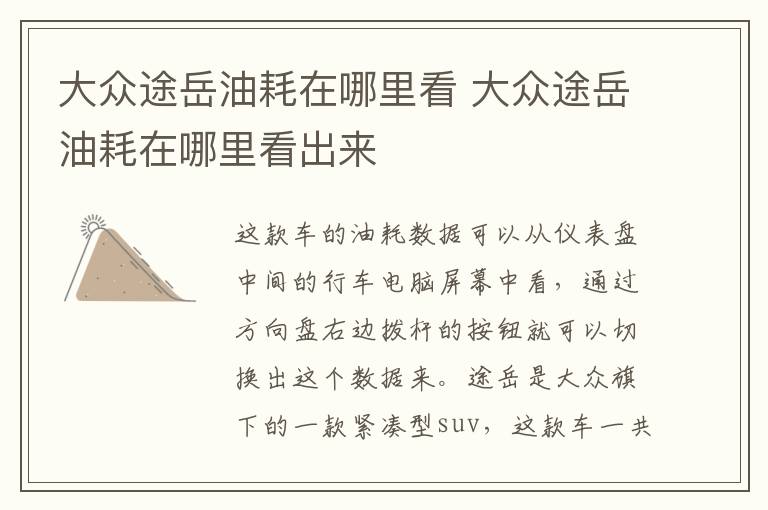 大众途岳油耗在哪里看 大众途岳油耗在哪里看出来
