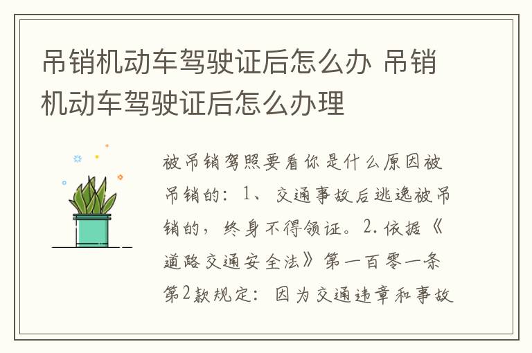 吊销机动车驾驶证后怎么办 吊销机动车驾驶证后怎么办理
