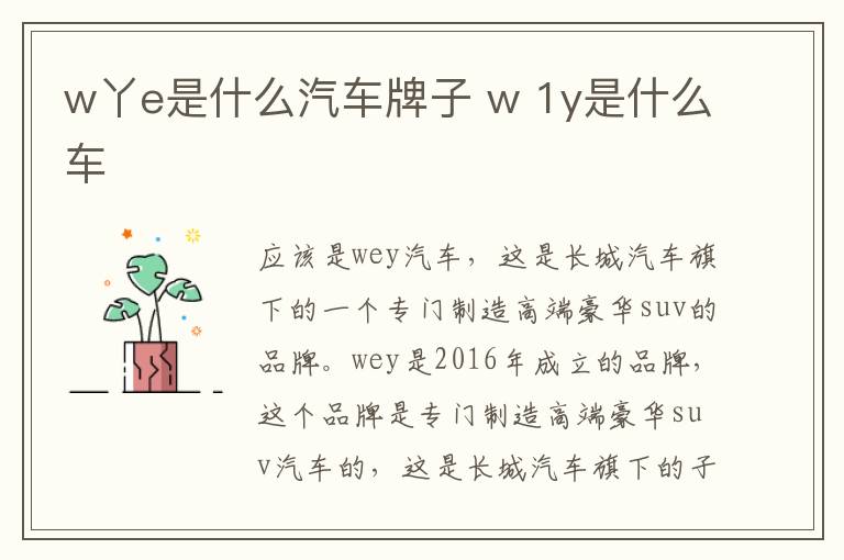 w丫e是什么汽车牌子 w 1y是什么车
