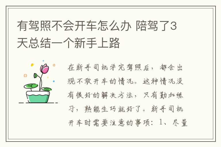 有驾照不会开车怎么办 陪驾了3天总结一个新手上路