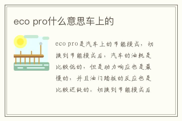 eco pro什么意思车上的