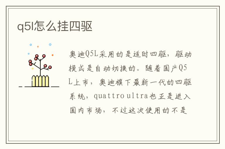 q5l怎么挂四驱