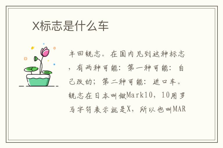 ​ X标志是什么车