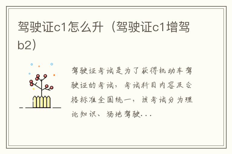 驾驶证c1怎么升（驾驶证c1增驾b2）
