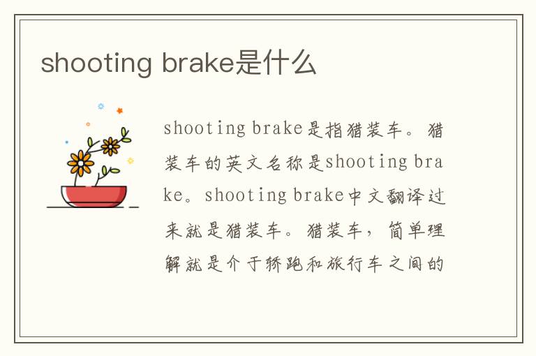 shooting brake是什么