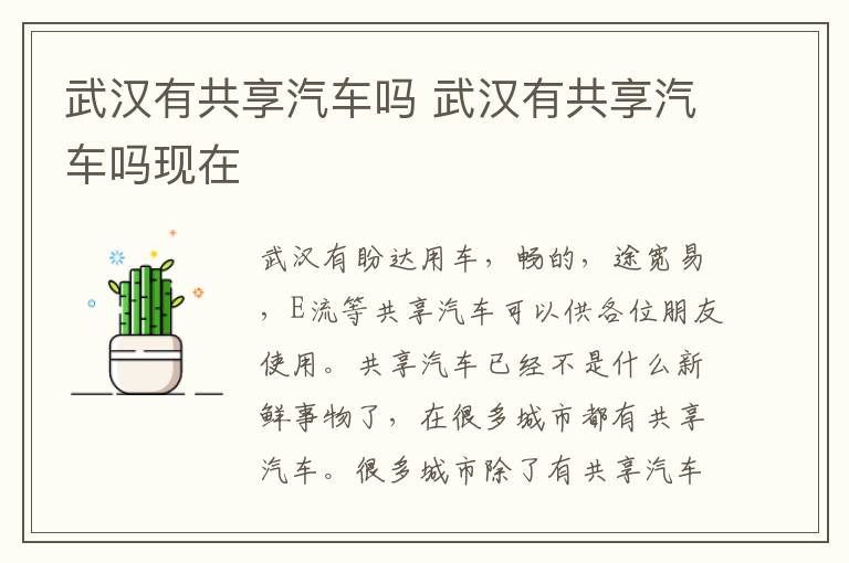武汉有共享汽车吗 武汉有共享汽车吗现在
