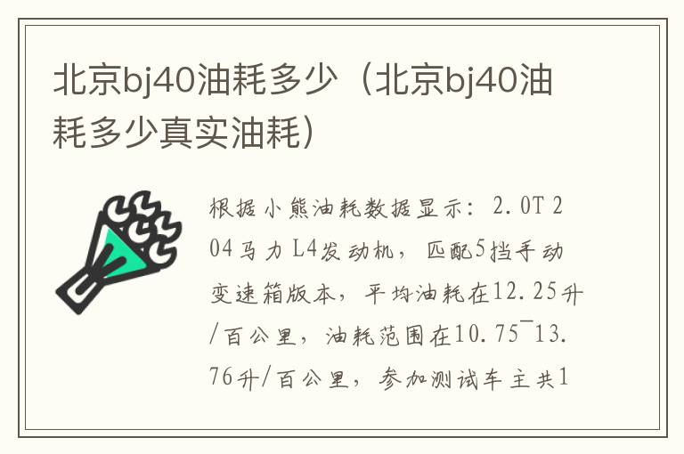 北京bj40油耗多少（北京bj40油耗多少真实油耗）