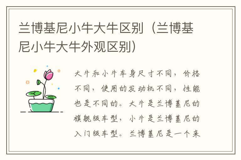 兰博基尼小牛大牛区别（兰博基尼小牛大牛外观区别）