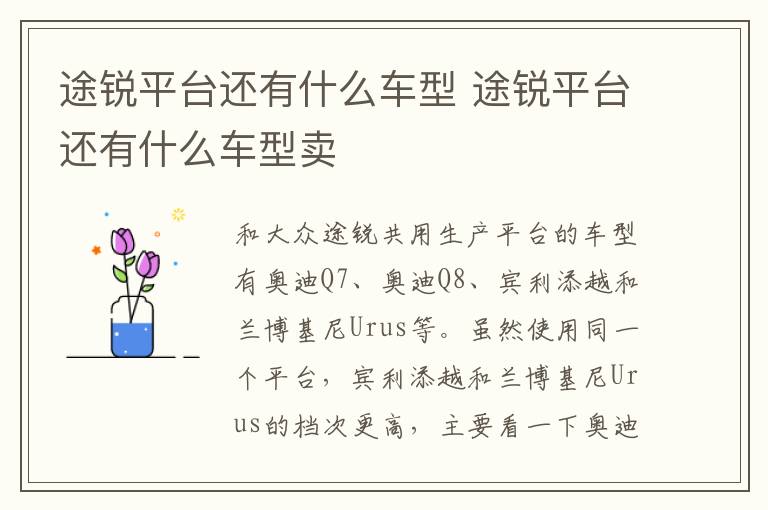 途锐平台还有什么车型 途锐平台还有什么车型卖