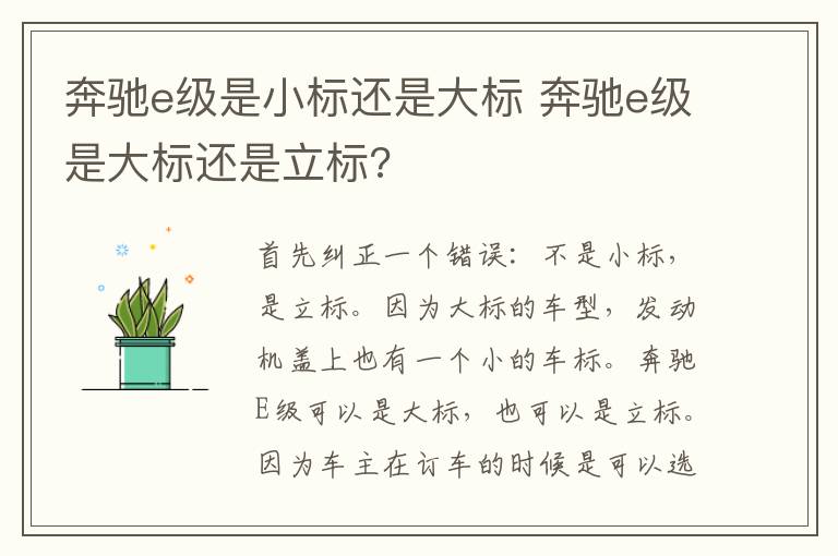 奔驰e级是小标还是大标 奔驰e级是大标还是立标?
