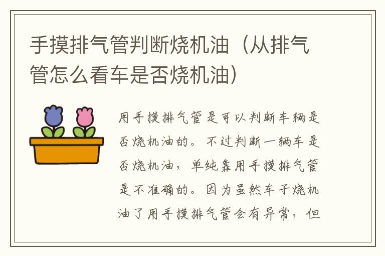 手摸排气管判断烧机油（从排气管怎么看车是否烧机油）