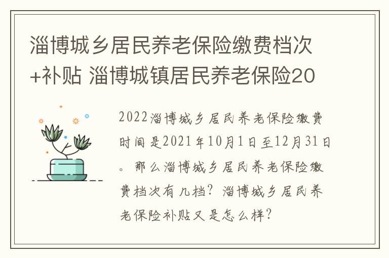 淄博城乡居民养老保险缴费档次+补贴 淄博城镇居民养老保险2021