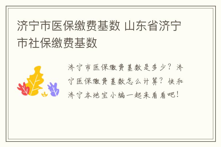 济宁市医保缴费基数 山东省济宁市社保缴费基数