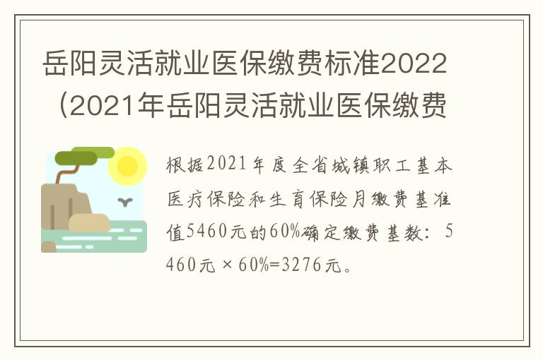岳阳灵活就业医保缴费标准2022（2021年岳阳灵活就业医保缴费标准）