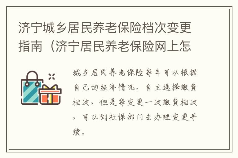 济宁城乡居民养老保险档次变更指南（济宁居民养老保险网上怎么缴费）
