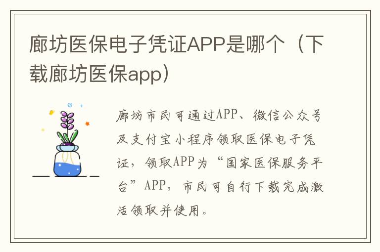 廊坊医保电子凭证APP是哪个（下载廊坊医保app）