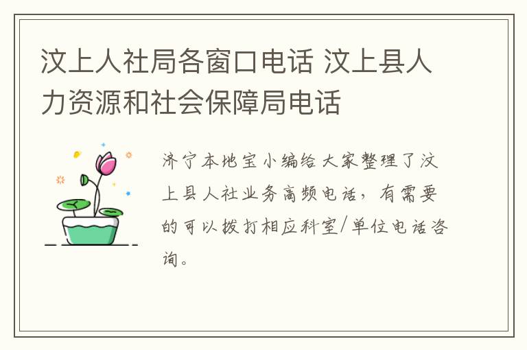 汶上人社局各窗口电话 汶上县人力资源和社会保障局电话