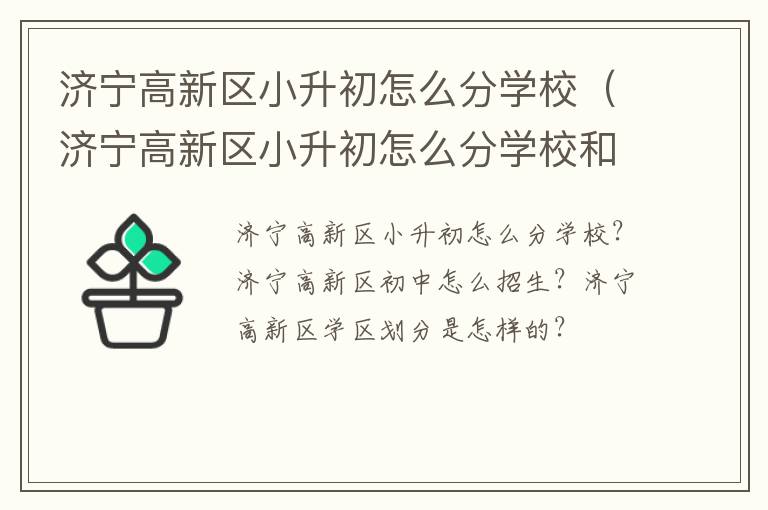 济宁高新区小升初怎么分学校（济宁高新区小升初怎么分学校和初中）