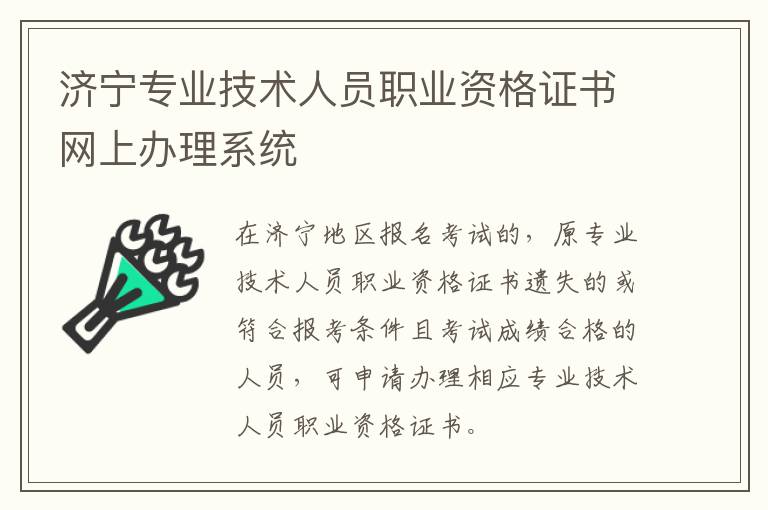 济宁专业技术人员职业资格证书网上办理系统